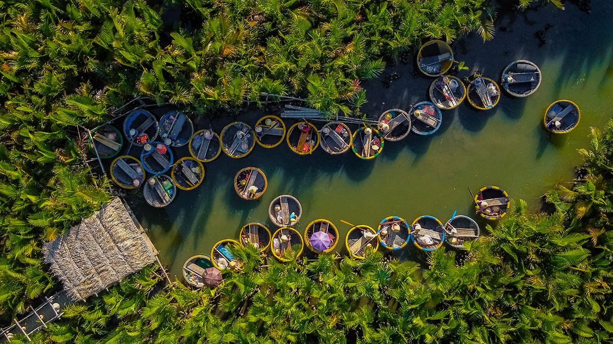 Coconut Forest with many exciting experiences