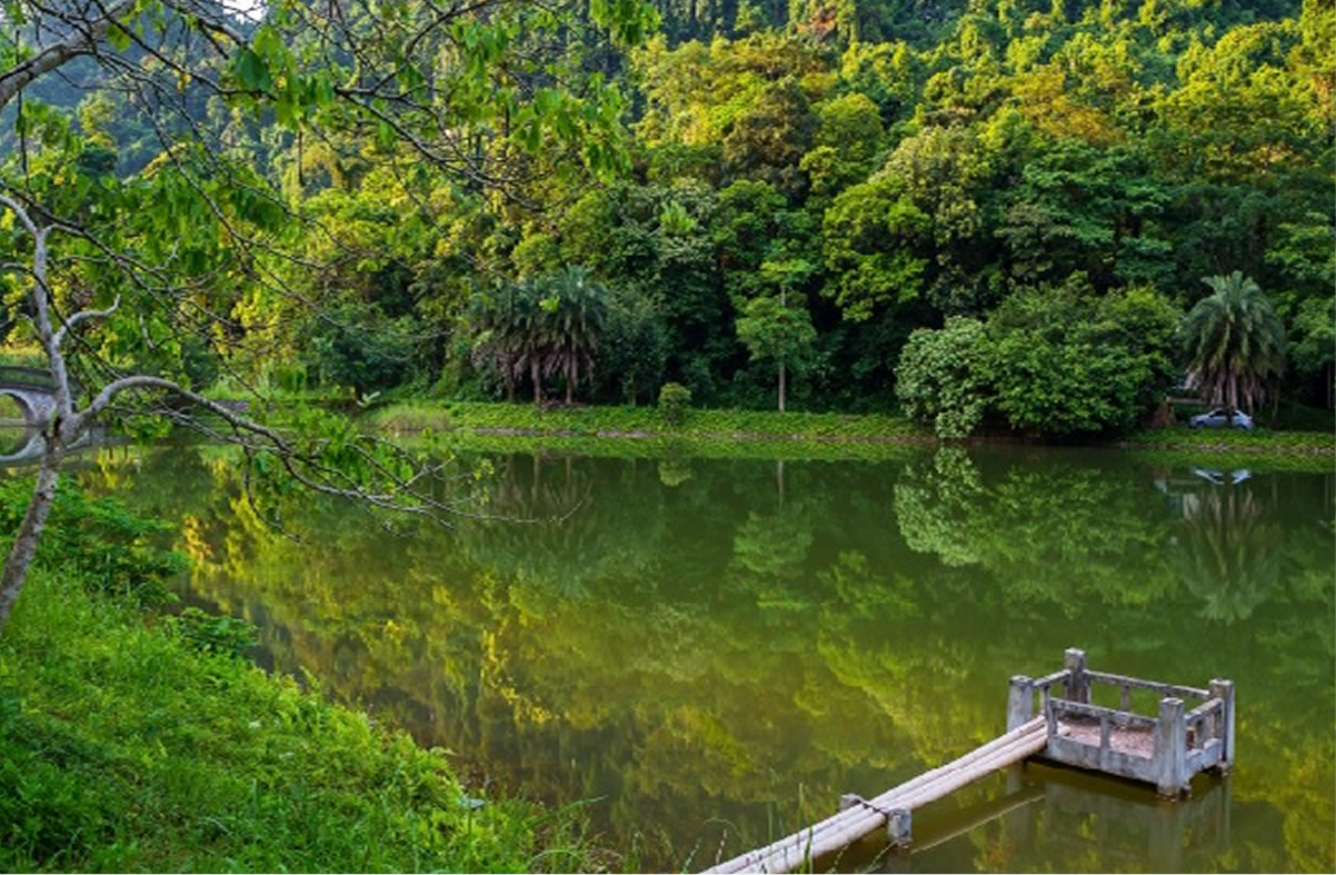 Cuc Phuong National Park: Vietnam’s First And Oldest National Park