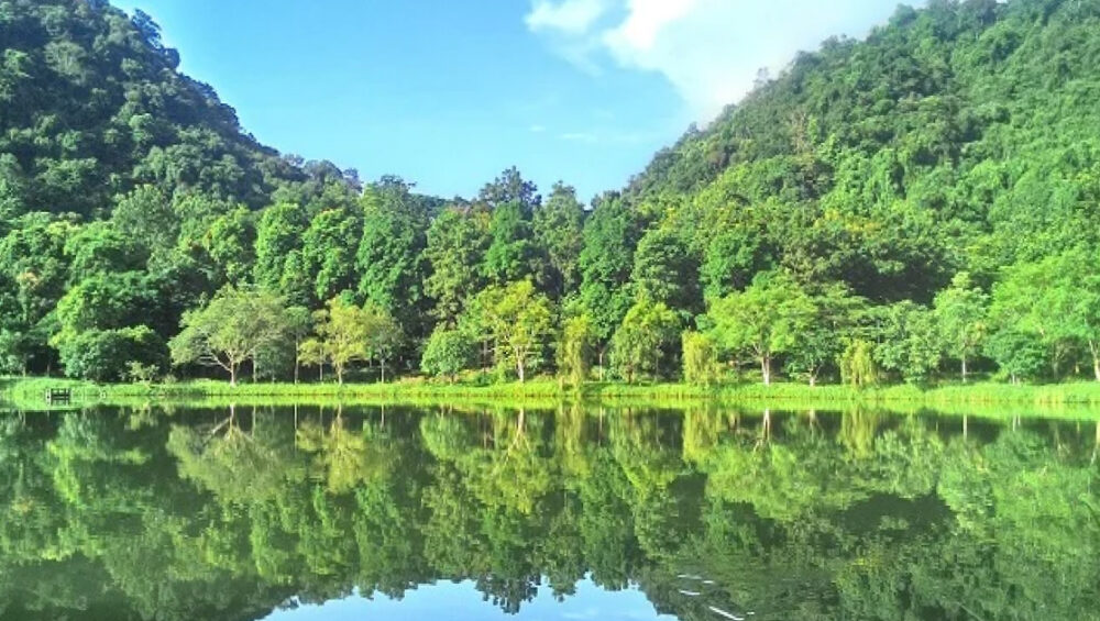 Into The Wild At Cuc Phuong National Park – A Nature Escape
