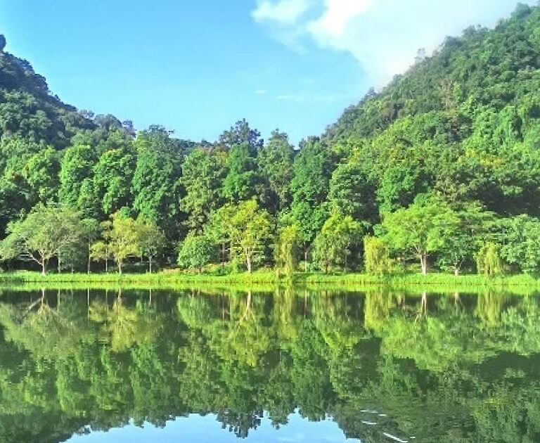 Into The Wild At Cuc Phuong National Park – A Nature Escape