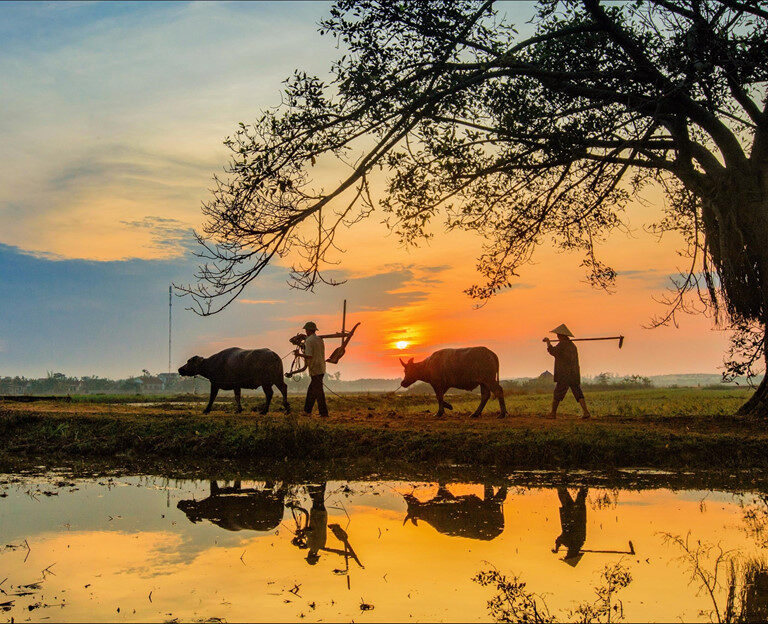 Best Time to Travel Vietnam: Weather & Seasons Guide