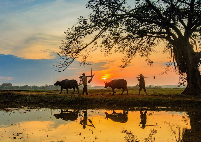 Best Time to Travel Vietnam: Weather & Seasons Guide
