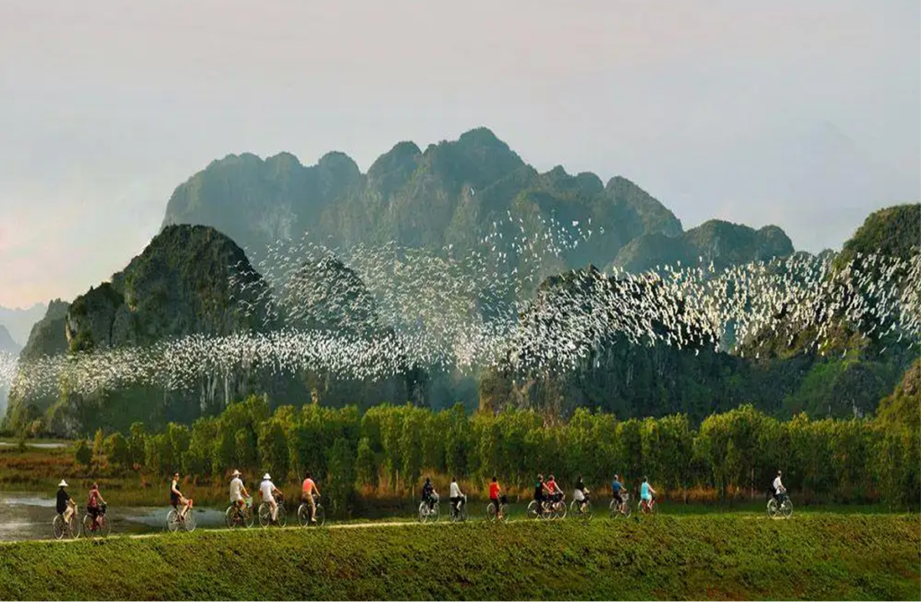 Thung Nham Bird Park