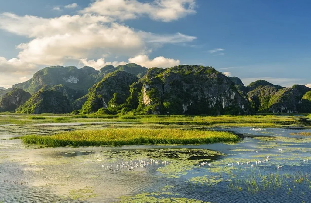 Van Long Nature Reserve