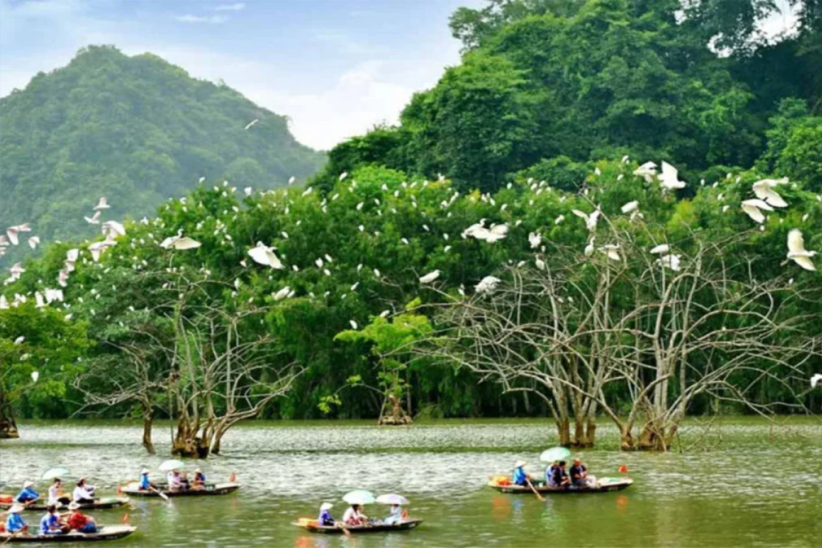 Best Time to Visit Thung Nham Bird Garden