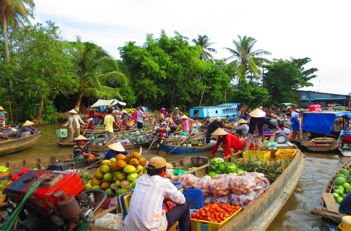 A scene of a traditional floating market with bustling boats at Cai Be Floating Market.