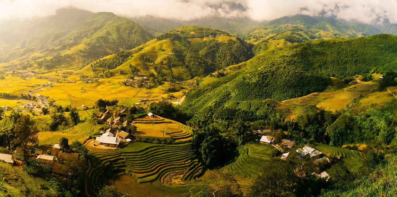 Lush green terraced rice fields in Lao Chai