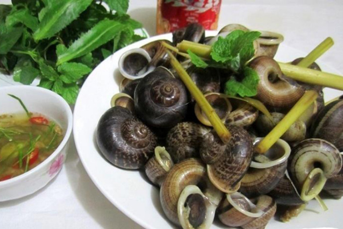 What to Eat in Ninh Binh – Top Must-Try Dishes