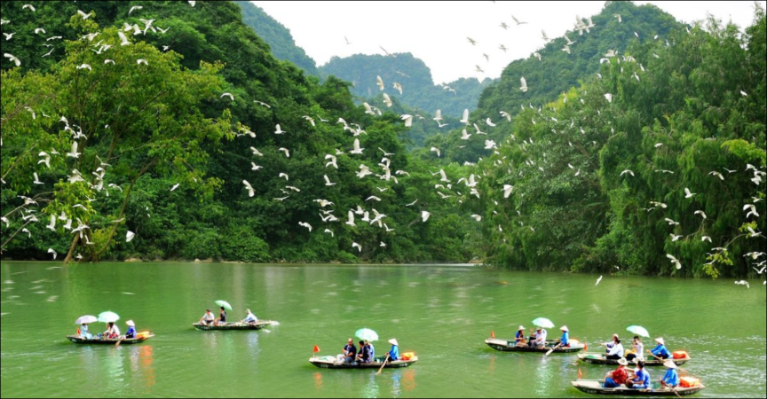 Thung Nham Bird Garden: Complete Travel Guide in Ninh Binh