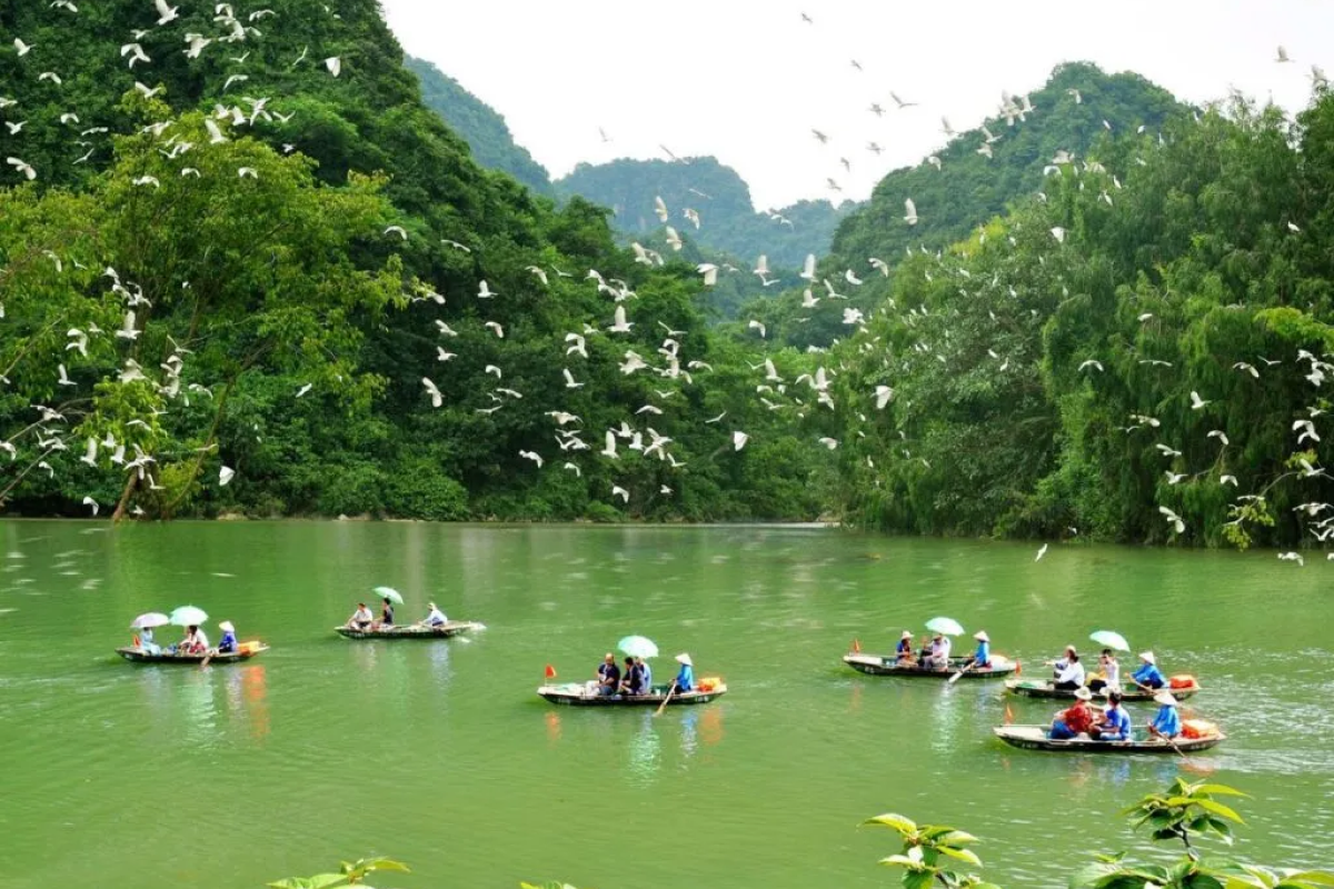 Top Things to Do in Thung Nham Bird Garden