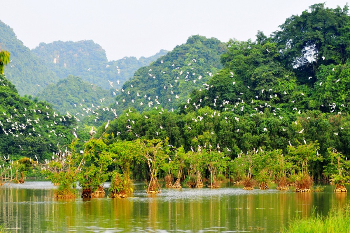 Where is Thung Nham Bird Garden?