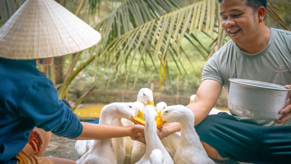 Duck Stop Hoi An – Fun Farm Experience Near Hoi An