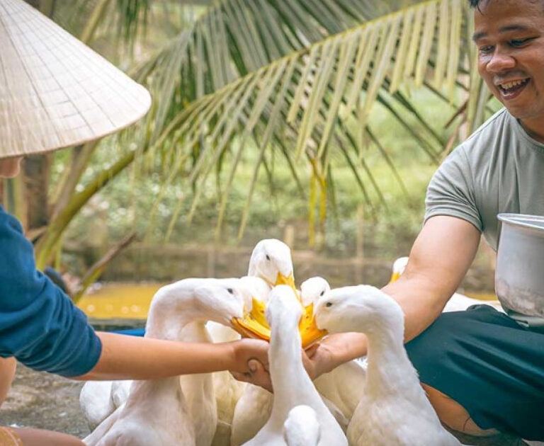 Duck Stop Hoi An – Fun Farm Experience Near Hoi An