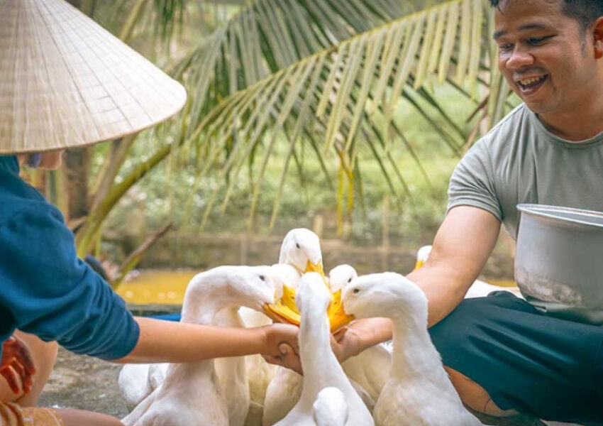 Duck Stop Hoi An – Fun Farm Experience Near Hoi An