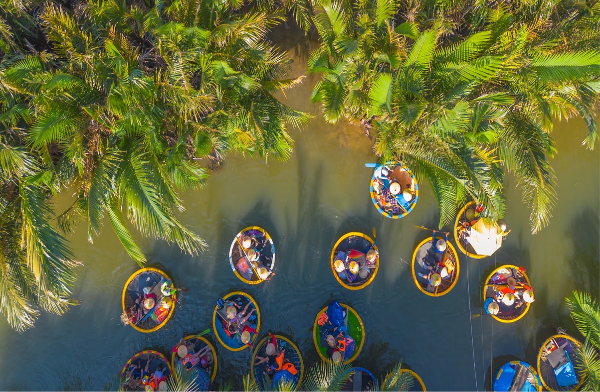 Explore Bay Mau coconut forest