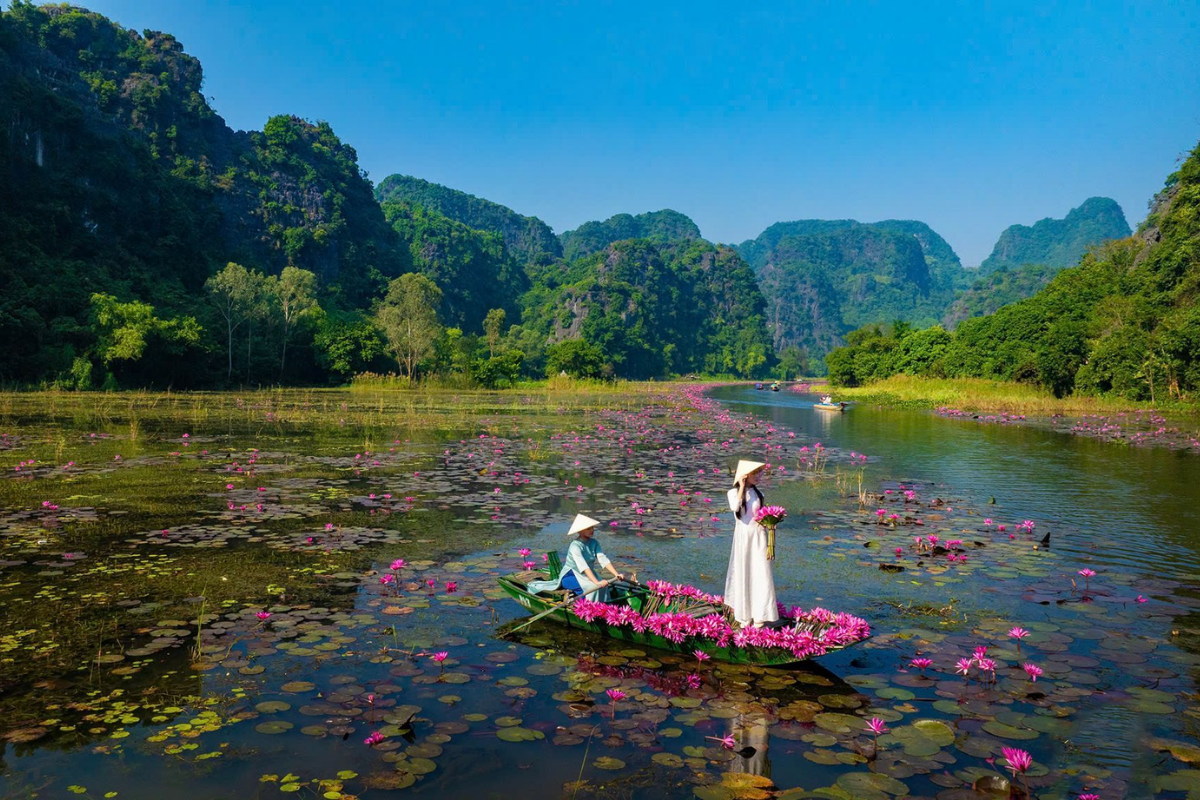 Ninh Binh 🇻🇳, where limestone mountains, peaceful rivers, and rice fields create a perfect escape into nature