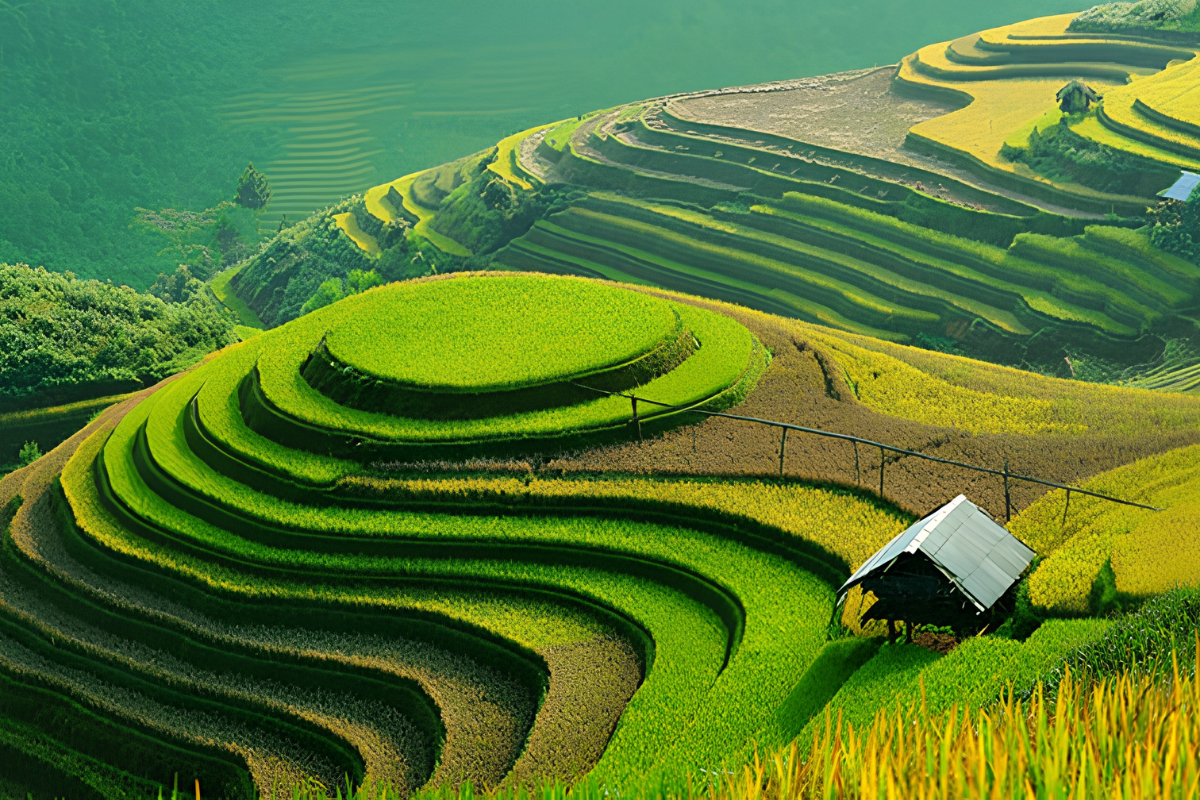 Best time to visit Vietnam: September–November for cool weather and scenic adventures in Northern Vietnam