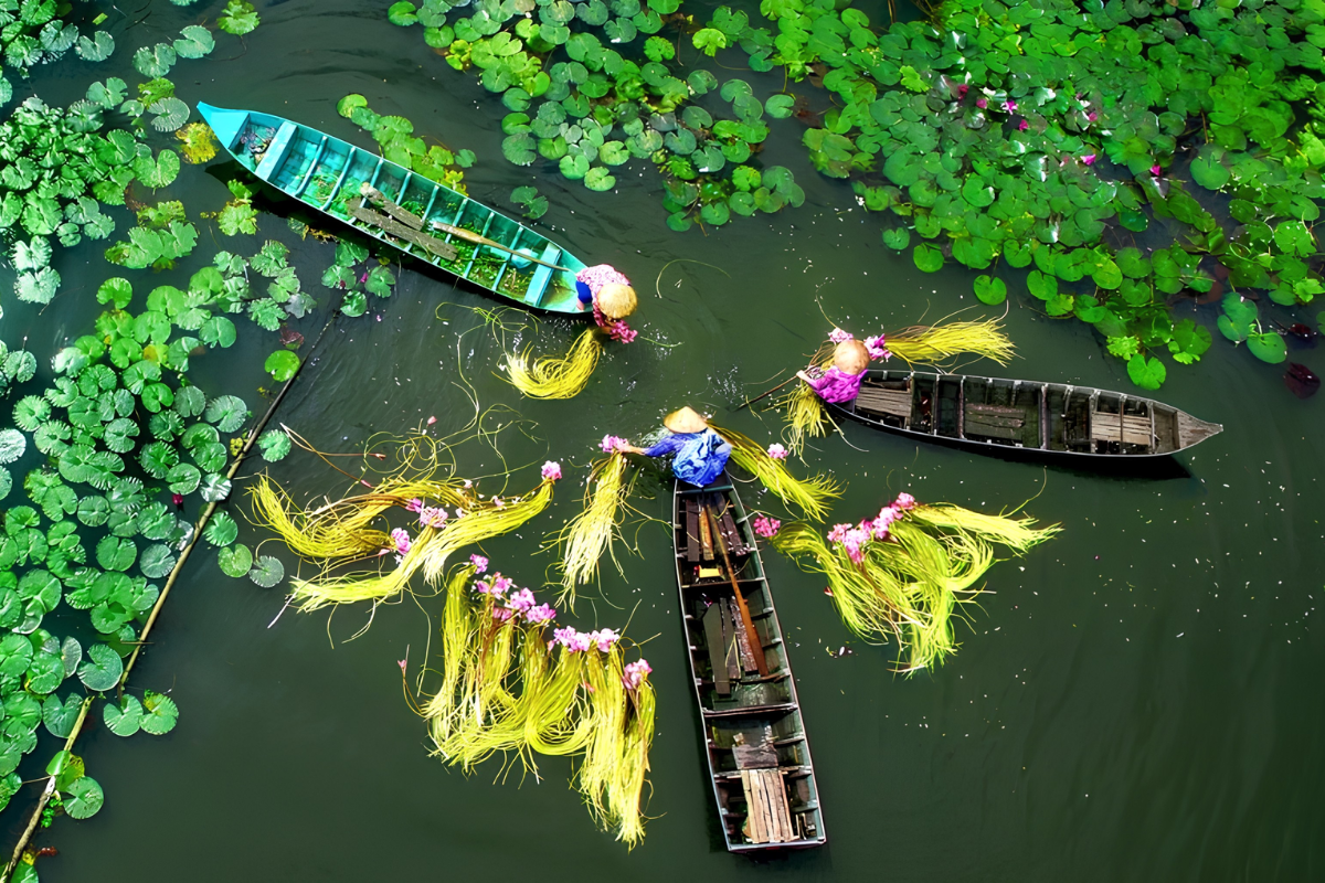 Experience the Mekong Delta through floating markets, lush orchards, winding canals, and authentic local life