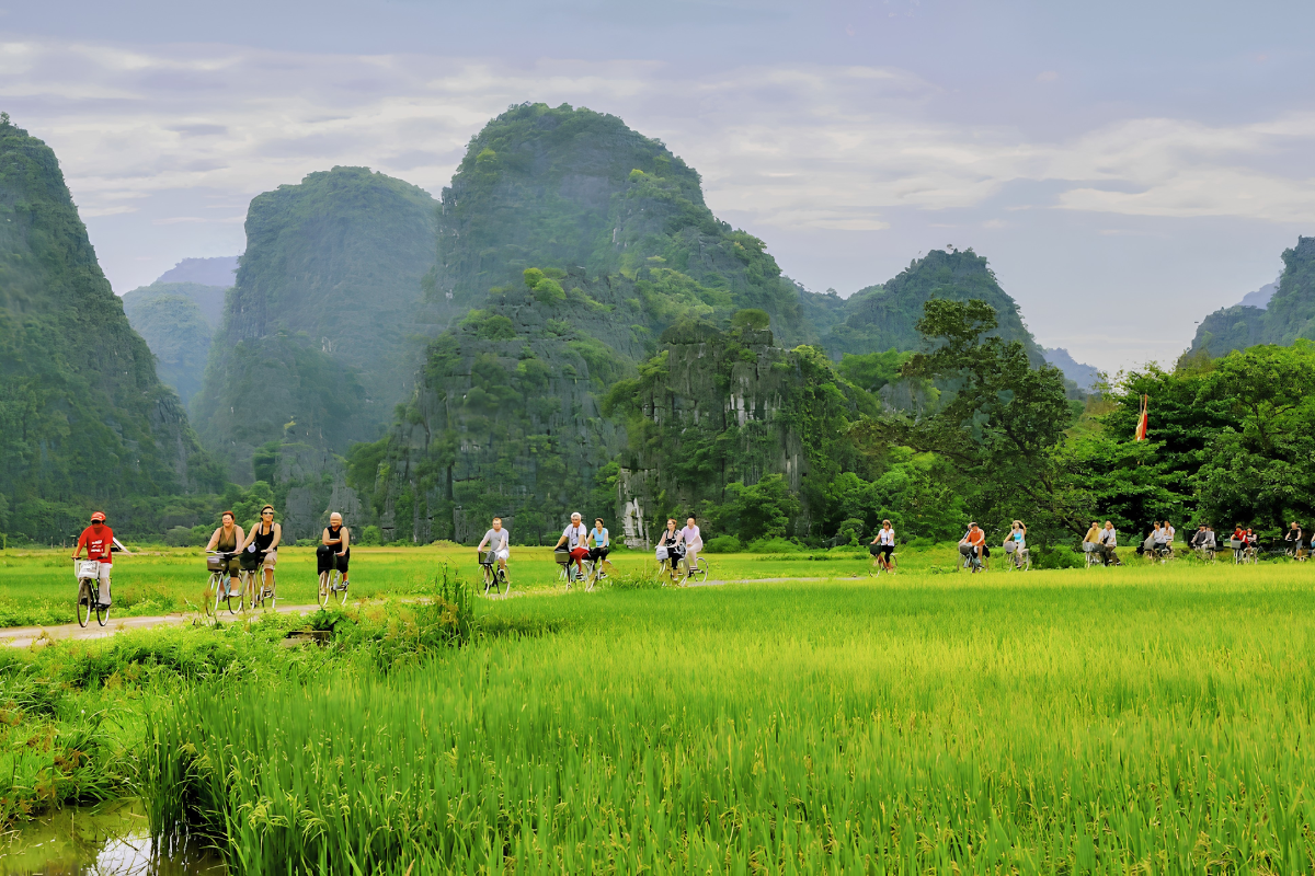 15 days of culture, nature, local experiences, and beach relaxation from North to South Vietnam