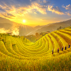 where to go in Vietnam