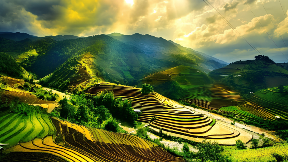 Vietnam weather by month