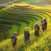 best places to visit in Vietnam