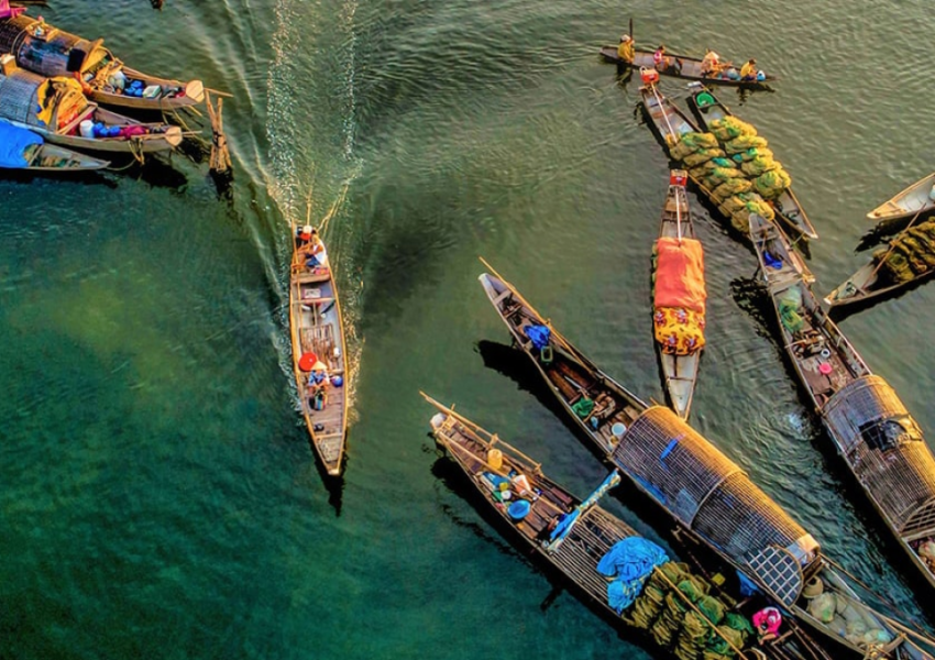 Vietnam Tour Operator: The Ultimate Guide to Choosing the Best Local Travel Expert