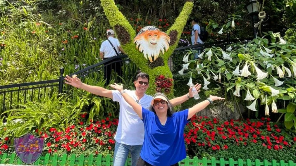 A Vietnam tour operator is an officially licensed local specialist that designs, organizes, and manages