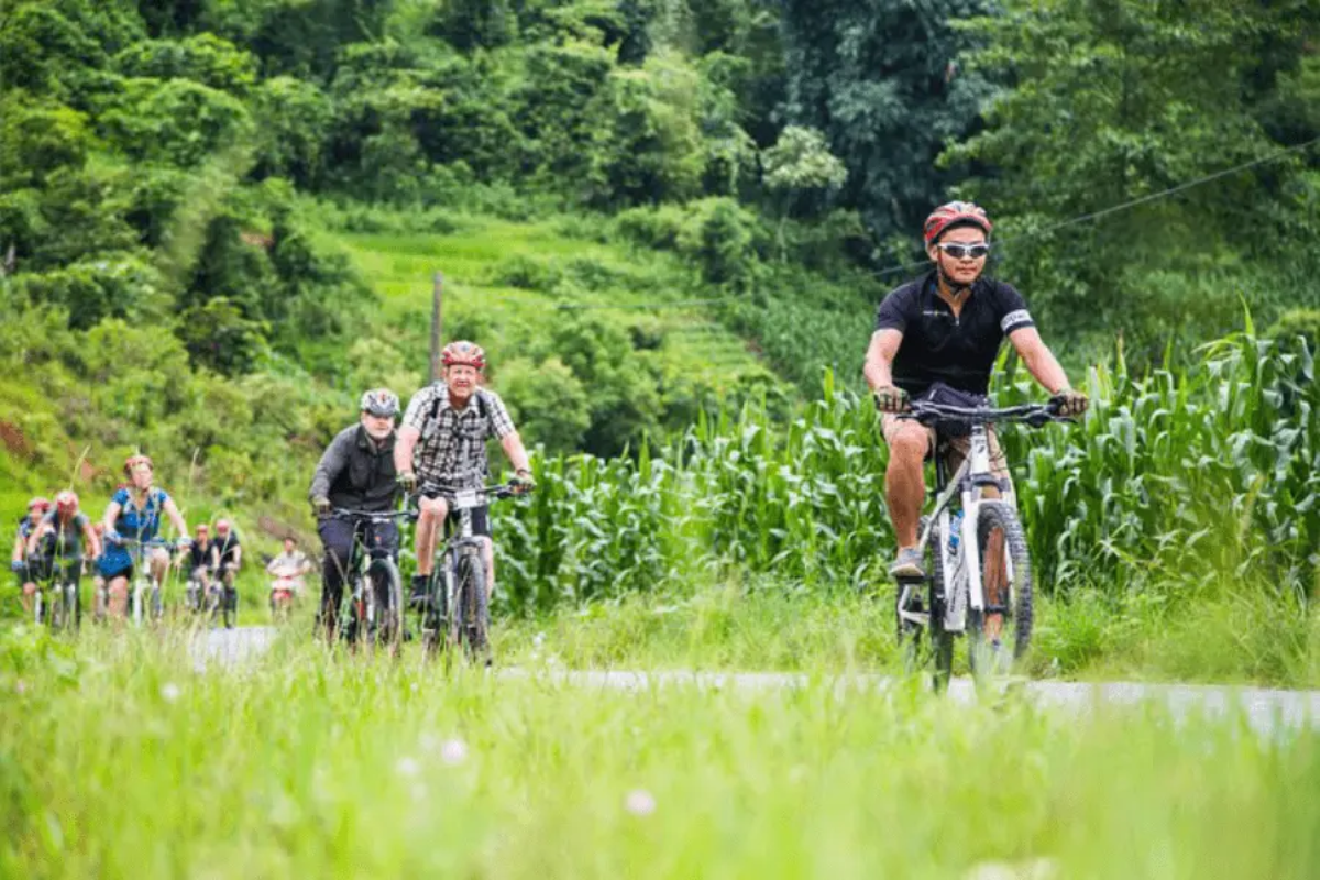 Discover diverse landscapes, thrilling activities, and local culture with Vietnam adventure tours
