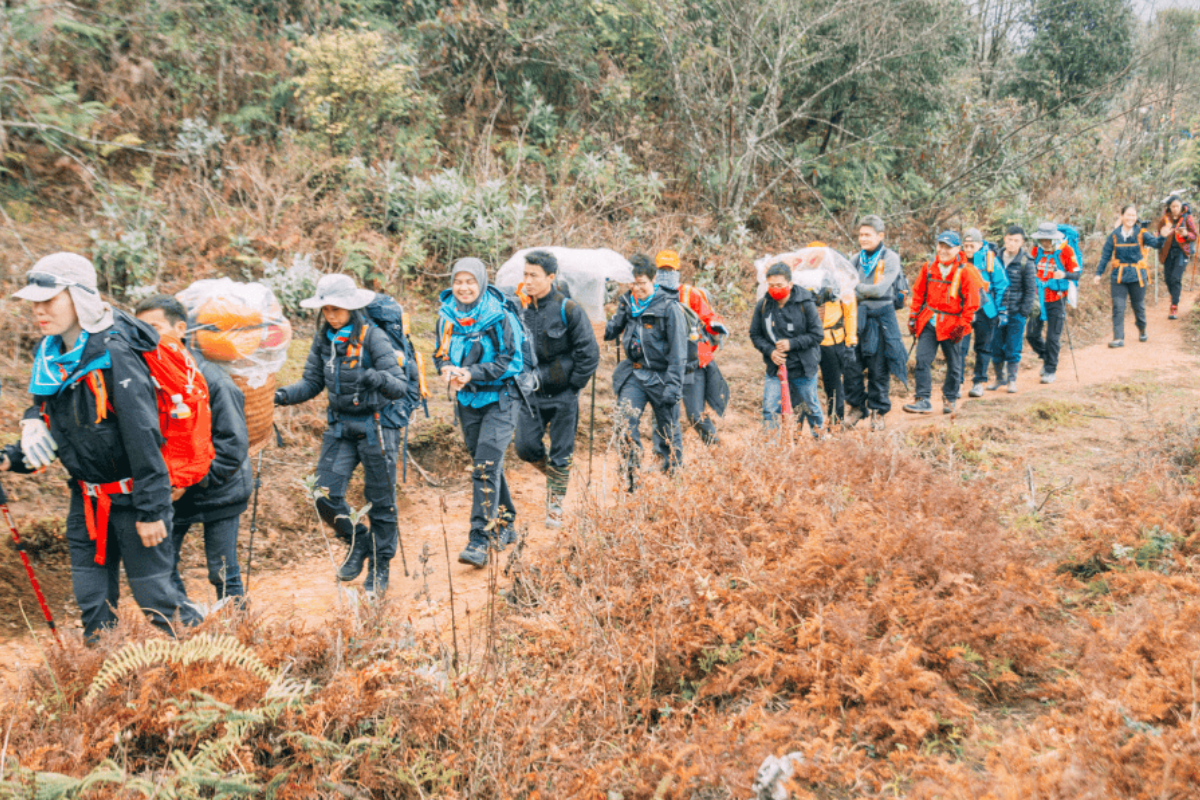 Experience mountain trails, terraced fields, and local villages through Sapa trekking